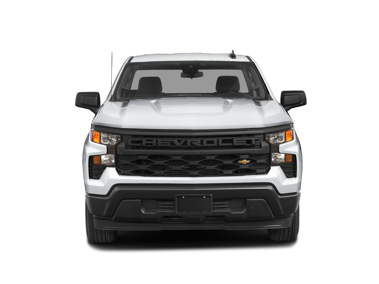 2025 Chevrolet Silverado 1500 Work Truck